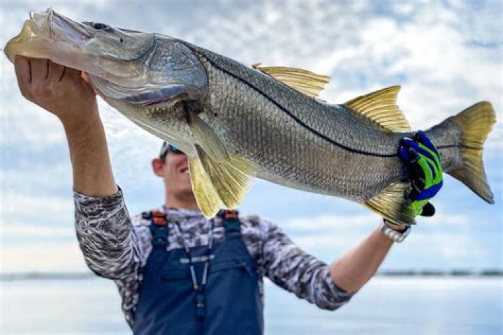 Large round item held up by a lion tamer