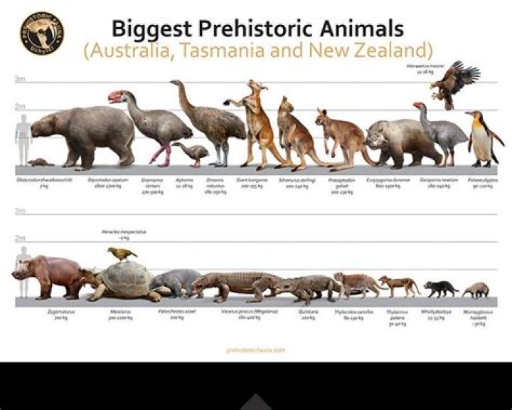 Largest land animal in Australia for short