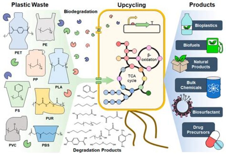 Lead-in to degradable for an environment-friendly type of material