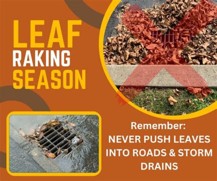 Leaf-raking season