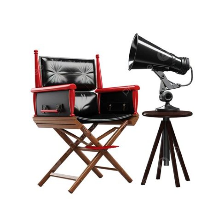 Lee in a director's chair