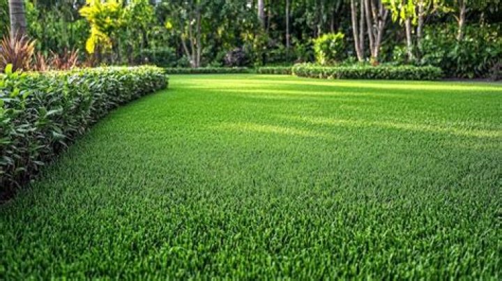 Like a recently trimmed lawn