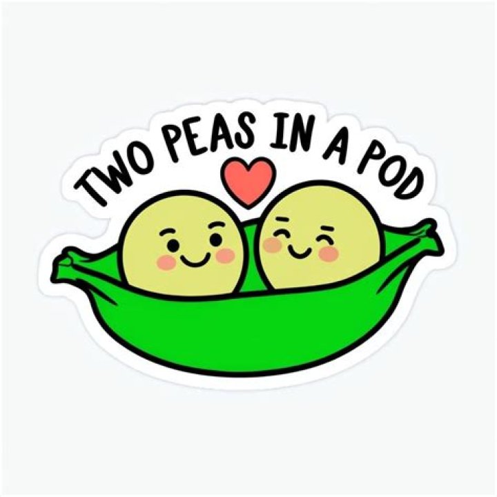 Like two peas ___ pod: 2 wds.