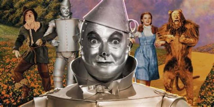 Liquid that the Tin Man needed