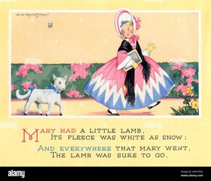 Little animal that went everywhere Mary did in a nursery rhyme