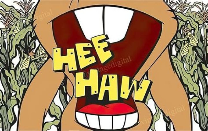 Long-eared animal that says hee-haw
