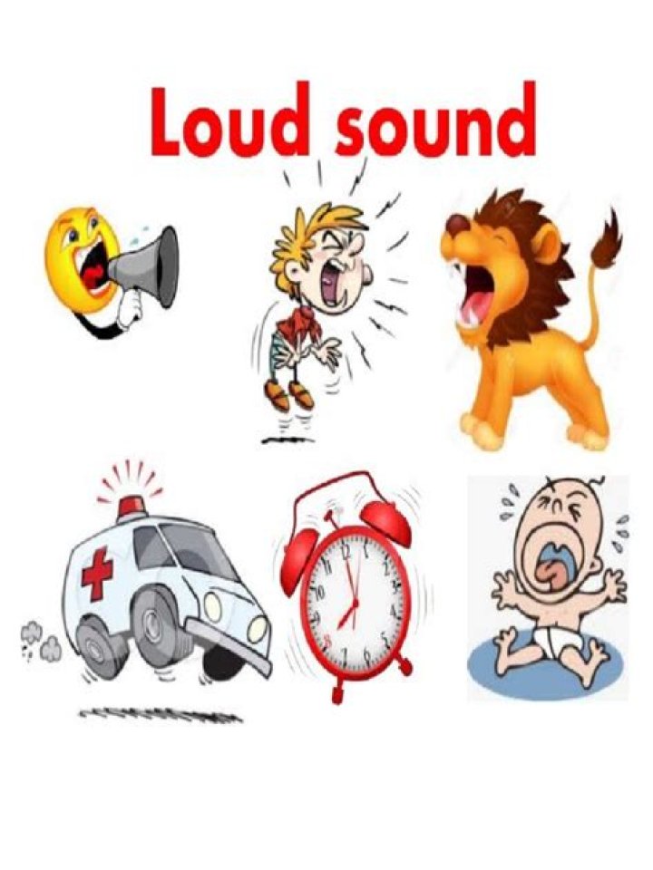 Loud sound from the crowd