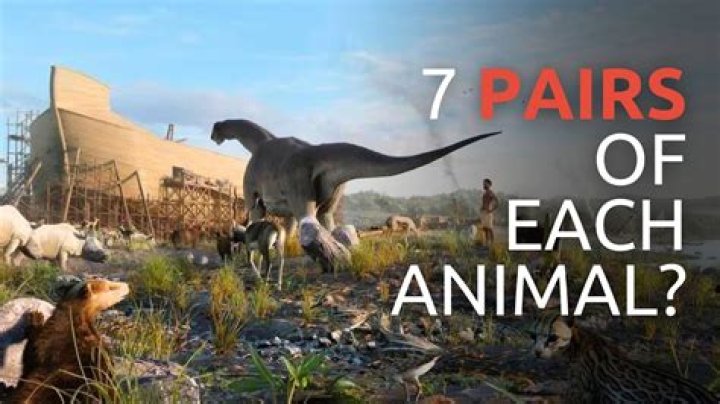 Man who gathered pairs of animals