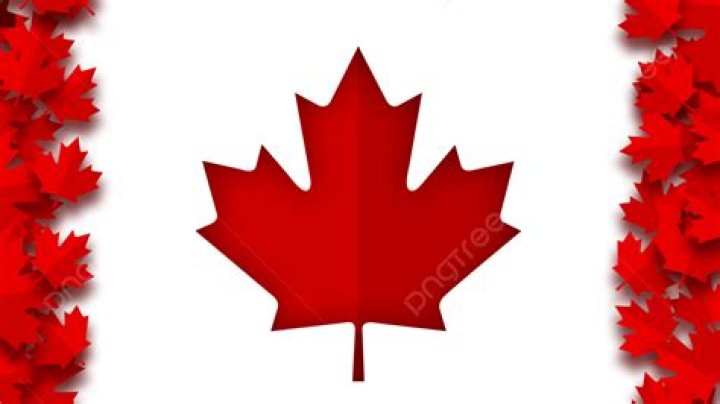 Maple ___ (image on the Canadian flag)