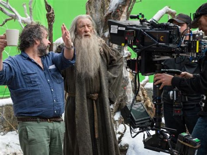 McKellen who played the wizard Gandalf