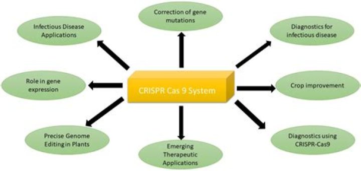 Me as said by Miss Piggy