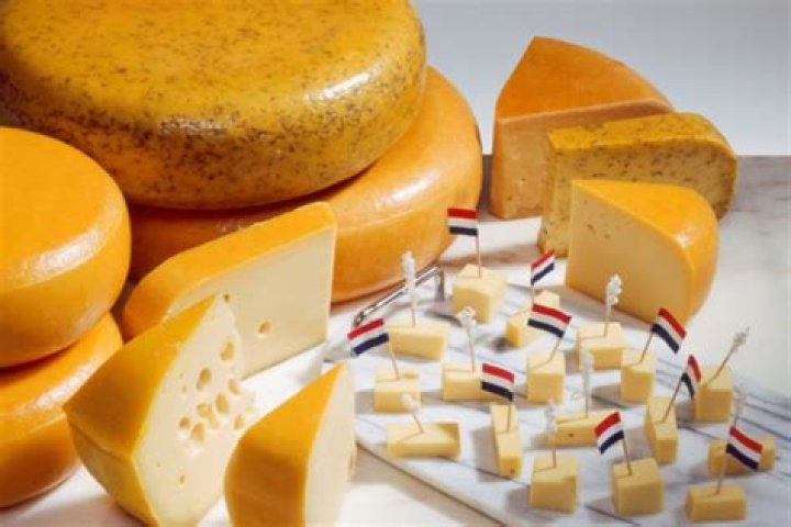 Mild Dutch cheese