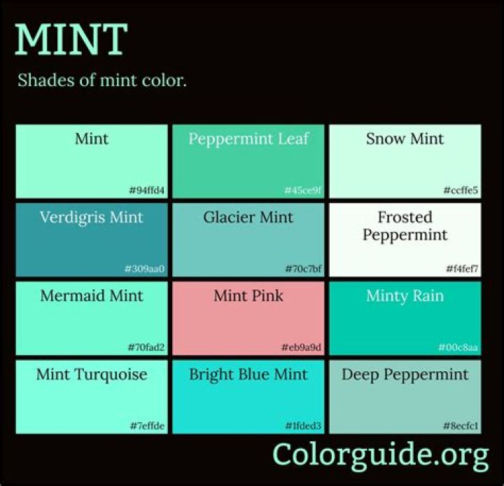 Mint or basil for example