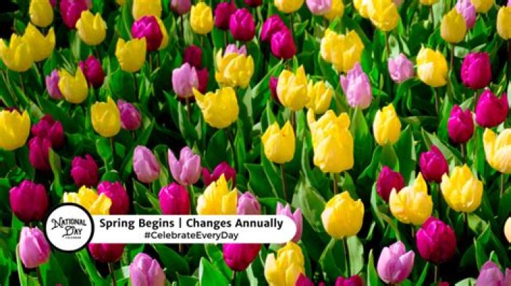 Month when spring begins: Abbr.