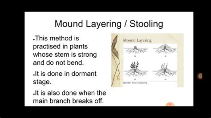 Mound of paperwork for example