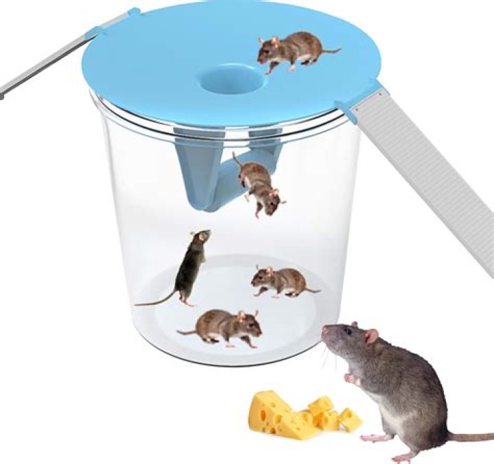 Mouse-catching item