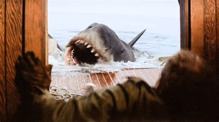 Movie classic about a great white shark