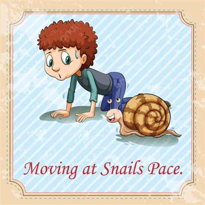 Moving ___ snail's pace: 2 wds.
