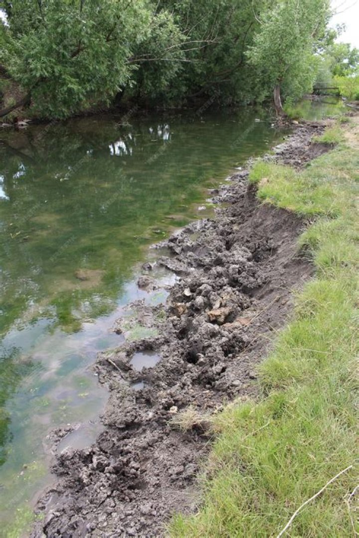Muddy riverbank deposit