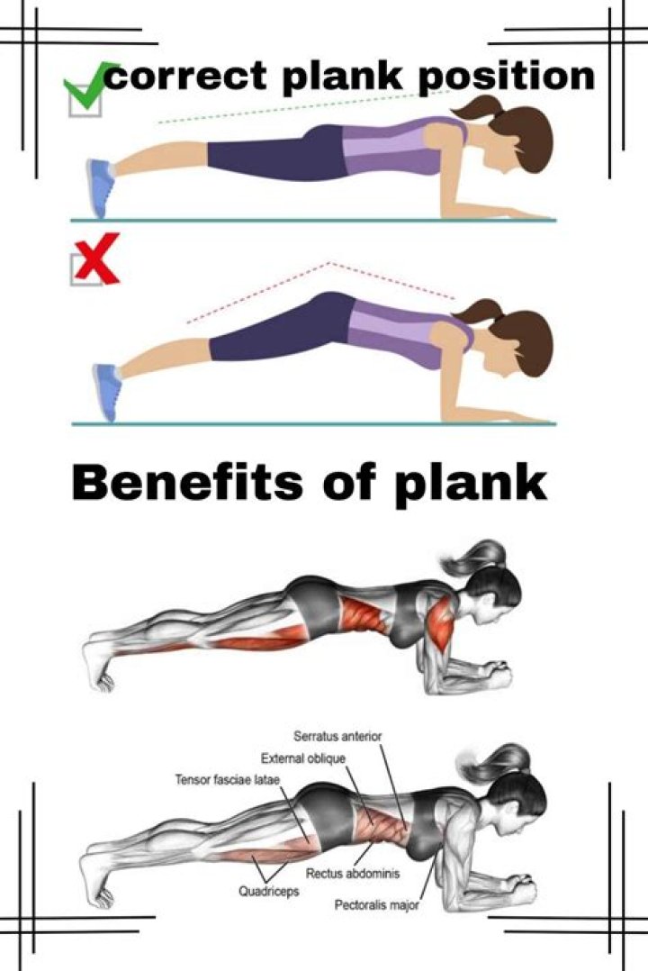 Muscles exercised by planks