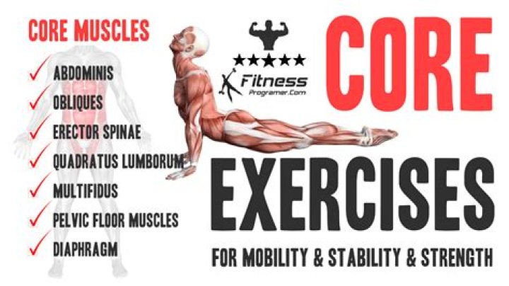 Muscles involved in a core workout