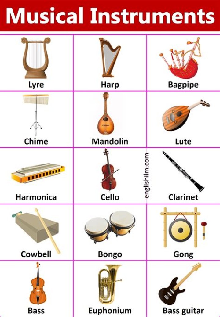 Musical instrument that rhymes with lobo