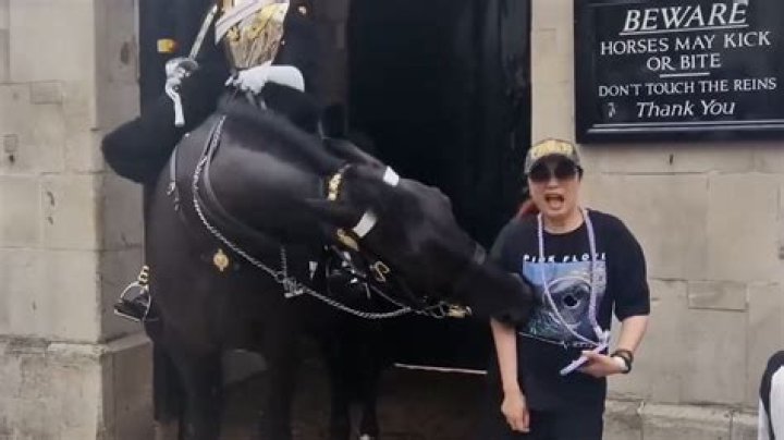 Negative vote from a horse?