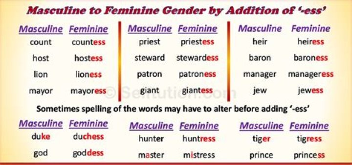 Neither masculine nor feminine in terms of grammar