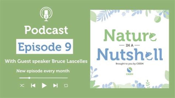 ___ nutshell (essentially): 2 wds.