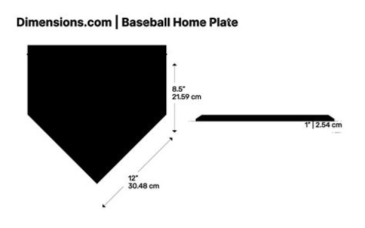 Official at home plate for short