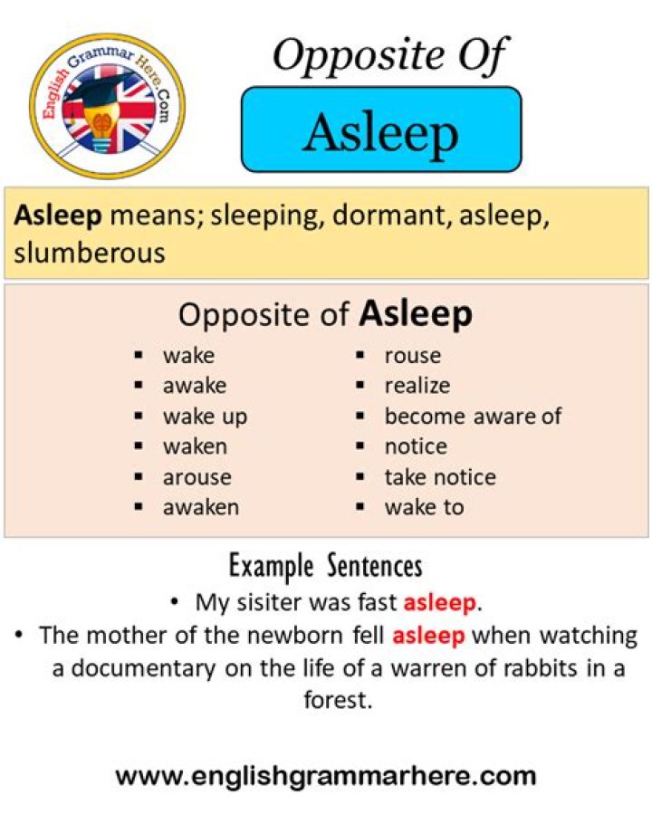 Opposite of asleep
