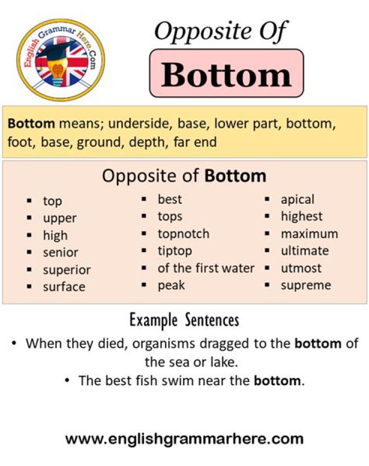 Opposite of bottom