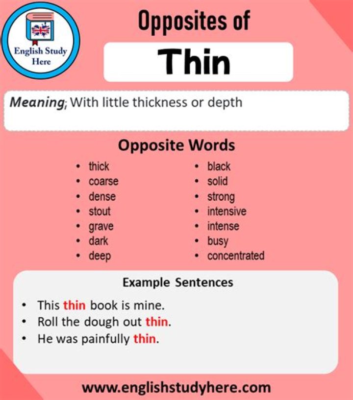 Opposite of thin