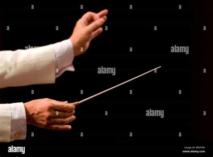 Orchestra conductor's wand