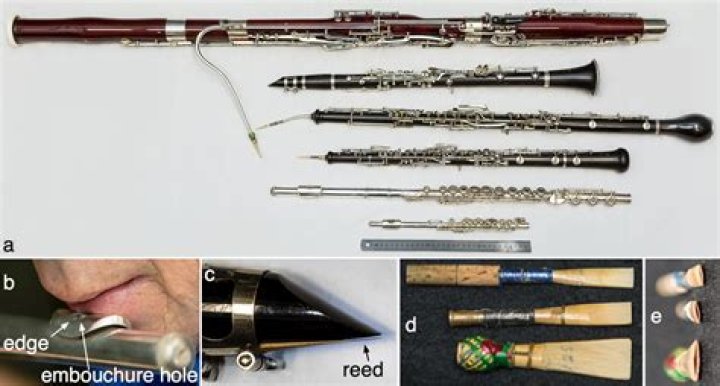 Orchestral reed instrument