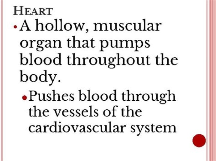 Organ that pumps blood