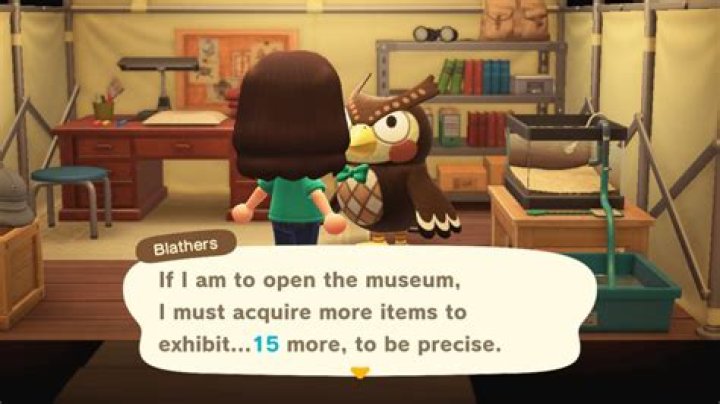 Owl character who owns the Museum in New Horizons