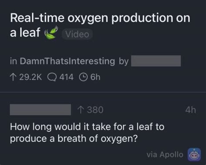 Oxygen for one