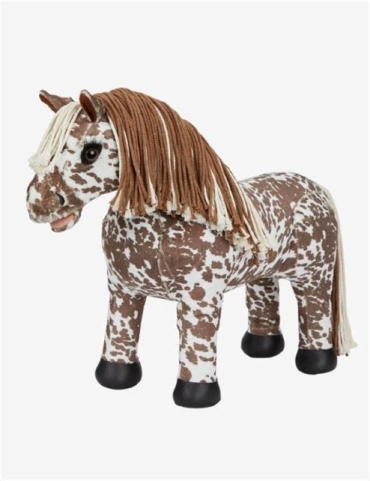 Pace for a pony like a gallop or trot