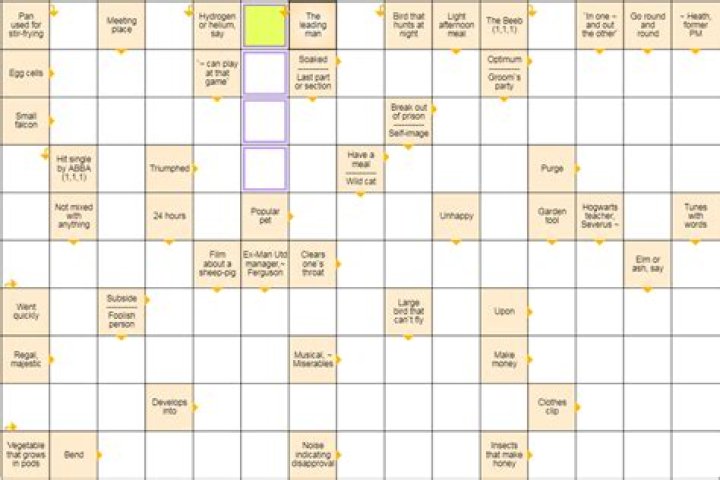 Pan used for stir-frying