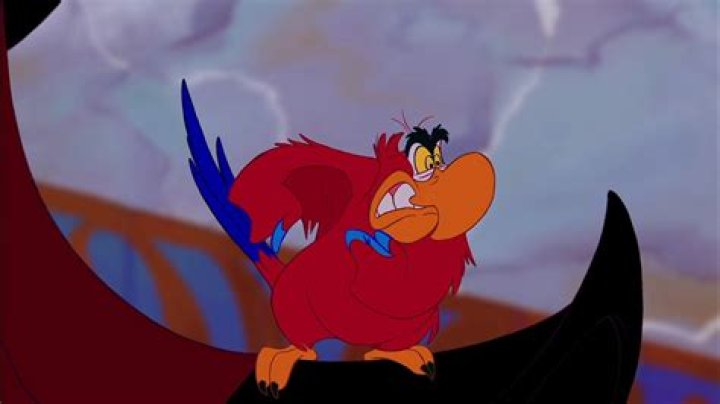Parrot in Aladdin