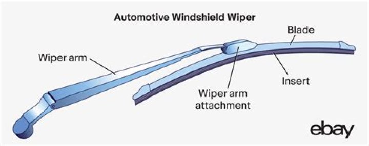Path of a windshield wiper