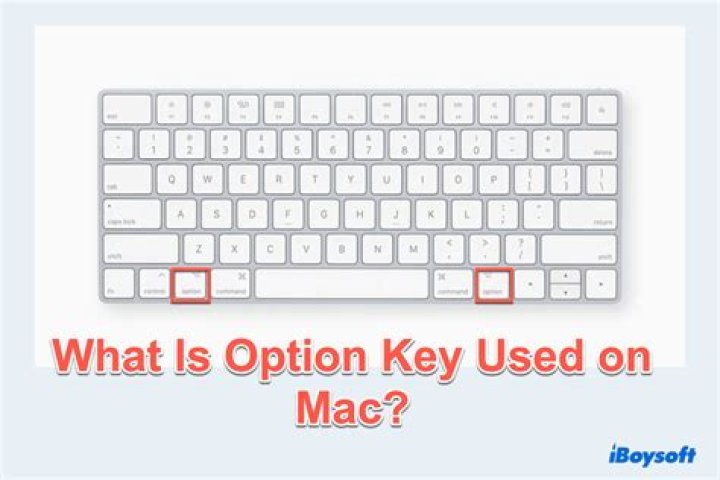 PC equivalent of a Mac's Option key
