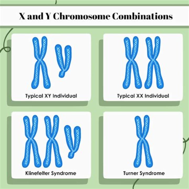People with both X and Y chromosomes typically