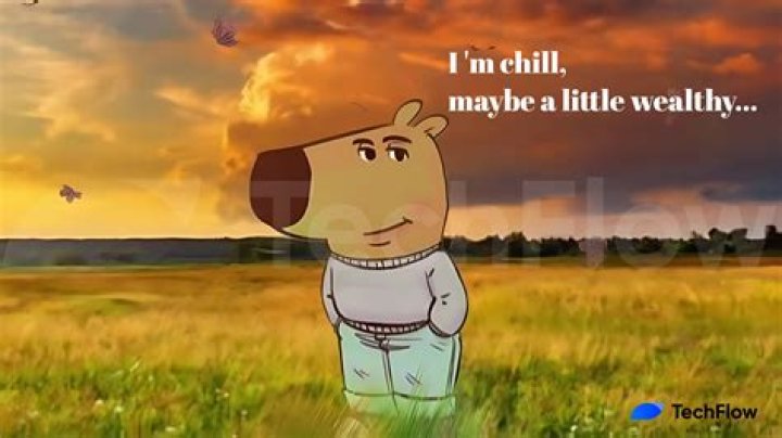 Person to chill with