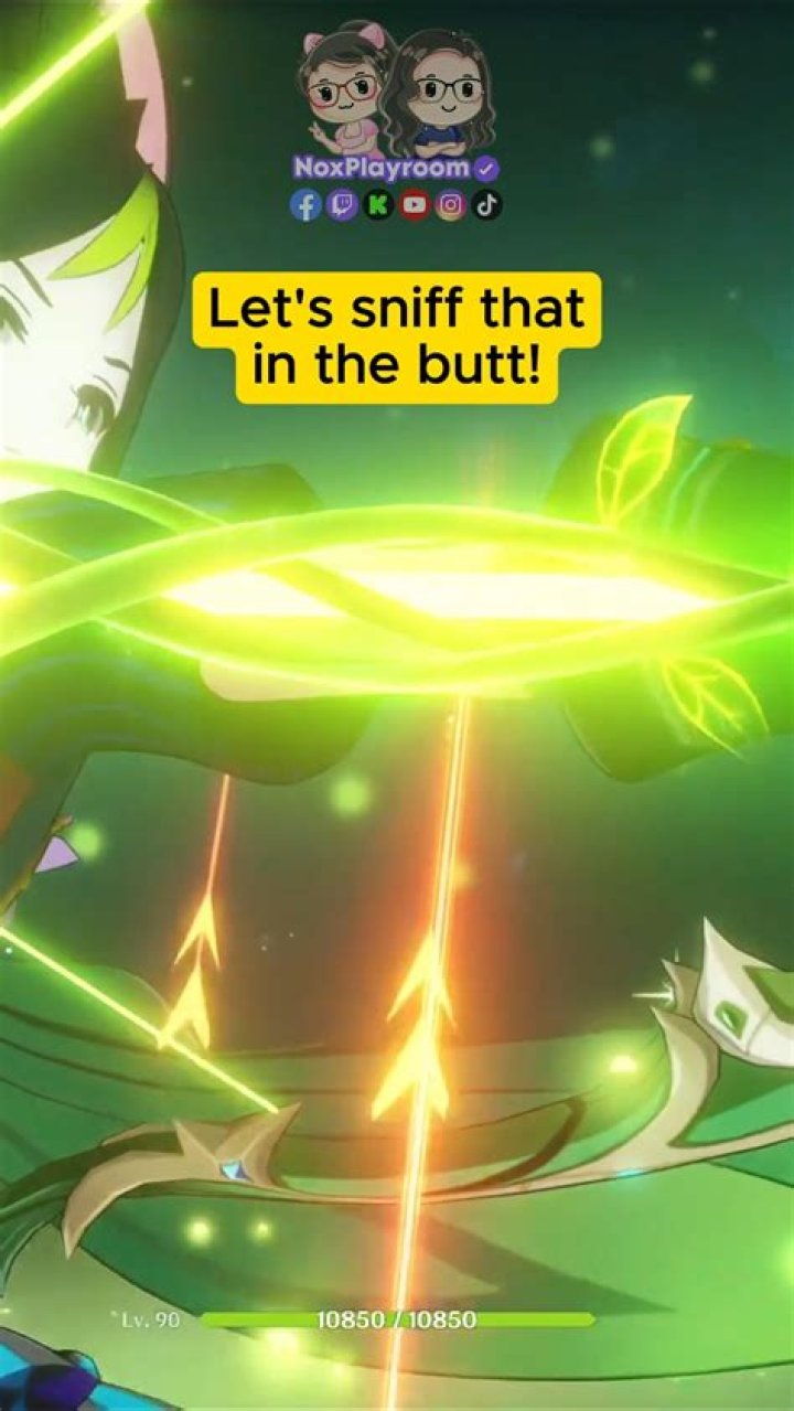 Pet healer for short