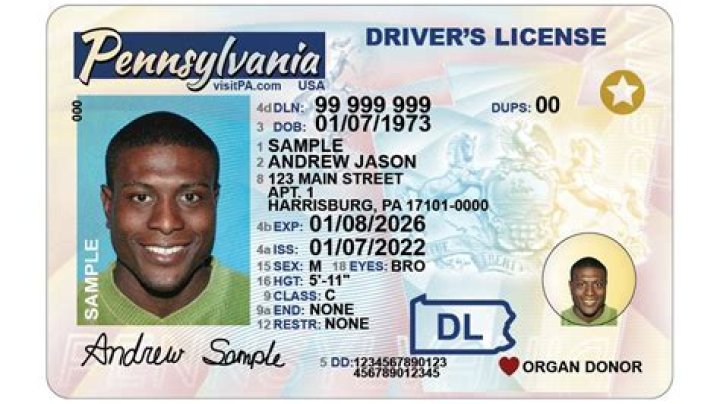 Photo ___ (drivers' licenses and the like): Abbr.