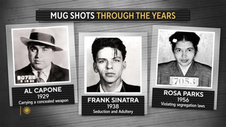 Picked out of book of mug shots for short