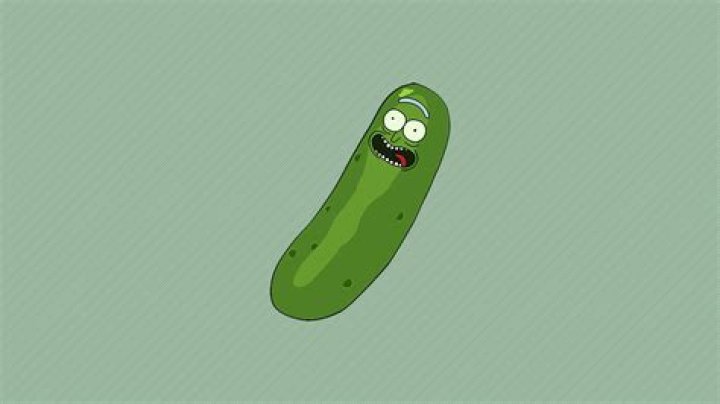 ___ pickle