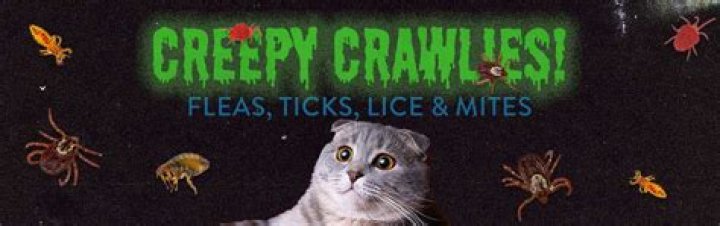 Picnic-loving creepy-crawlies